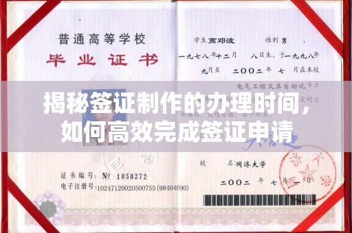 铜川揭秘签证制作的办理时间，如何高效完成签证申请