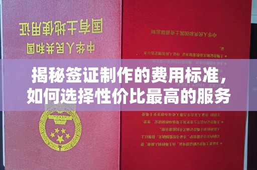 铜川揭秘签证制作的费用标准，如何选择性价比最高的服务？