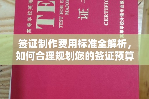 铜川签证制作费用标准全解析，如何合理规划您的签证预算？